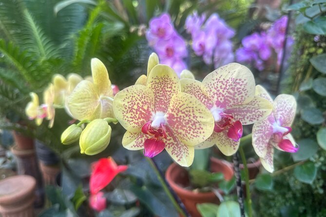 1/2 Day Puerto Vallarta Botanical Garden tour - Why this Botanical Garden trip is more than a plant walk