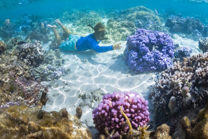 1/2 day Tahaa coral garden - departure Raiatea / ideal for cruise passengers - Walking over coral before the snorkel