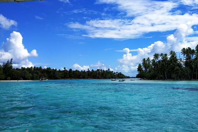 1/2 day Tahaa coral garden - departure Raiatea / ideal for cruise passengers - The boat ride from Raiatea to Taha’a