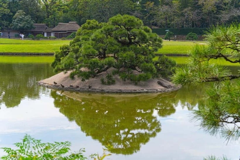 1-Day Tour from Okayama: Kurashiki, Gardens & Okayama Castle - Key points to know before booking