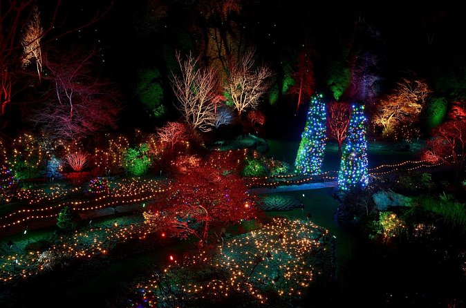 1 hour City Tour & Butchart Gardens: Christmas - Entry included! - Why the included admission improves the value