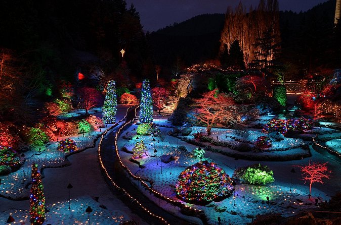 1 hour City Tour & Butchart Gardens: Christmas - Entry included! - Timing, pickup, and the return to Belleville Street