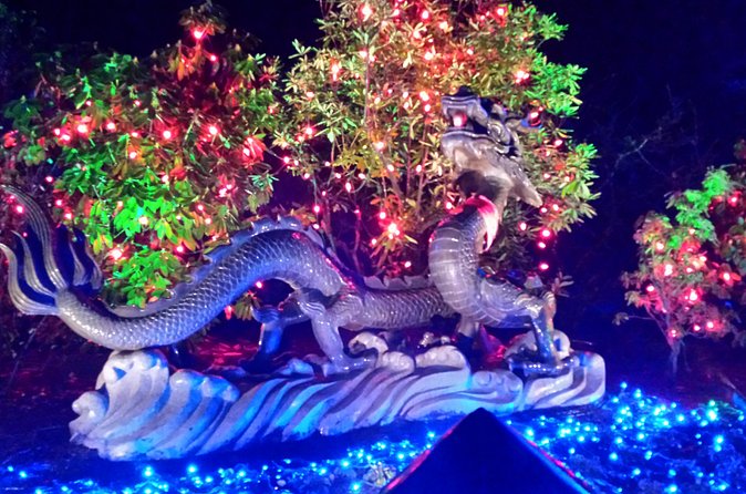 1 hour City Tour & Butchart Gardens: Christmas - Entry included! - Practical packing advice for a winter evening