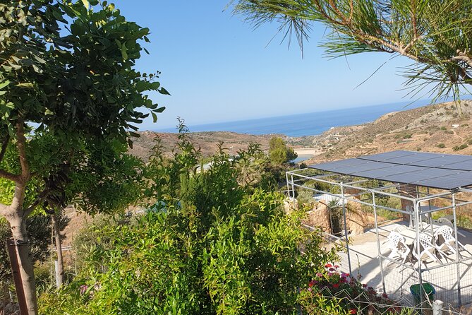 2-Hour Botanic Garden Tour in Akoursos - A brief look at the glamping pods