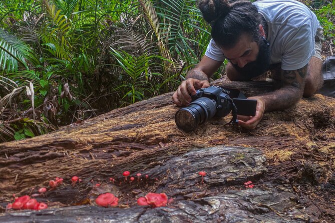 2-Hour Mushroom Photography Activity in Cairns Botanic Gardens - Bridgette’s role makes the difference