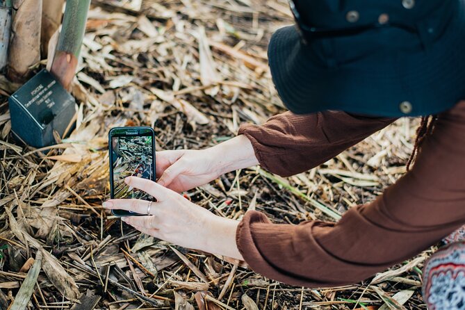 2-Hour Mushroom Photography Activity in Cairns Botanic Gardens - How much value do you get for $48.77?