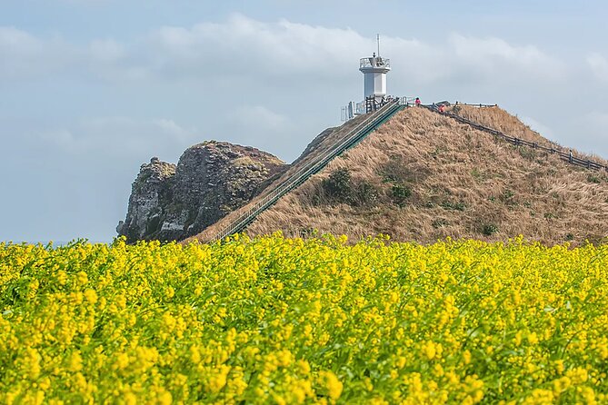 2026 Cherry Blossom East Day Tour in Jeju with UNESCO - Seopjikoji shows Jeju’s eastern coast