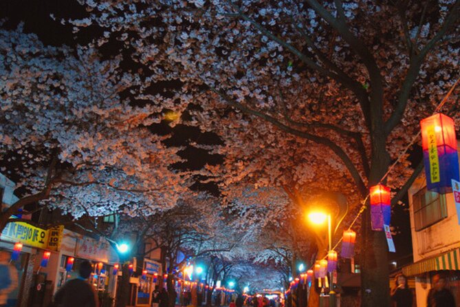 2026 Cherry Blossom East Day Tour in Jeju with UNESCO - Seongeup Folk Village adds living Jeju culture