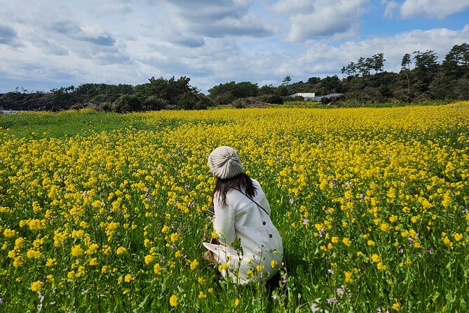 2026 JEJU Cherry Blossom West&South Full Day Tour with UNESCO - Nonjitmul Freshwater Beach and the Yerae coast