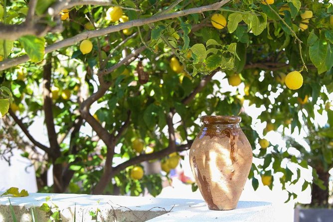3-Course Organic Dinner in Garden with Views of French Riviera - Who will enjoy this most