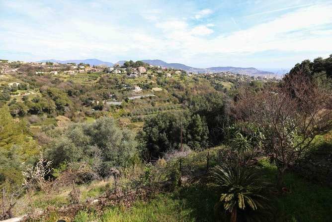 3-Course Organic Dinner in Garden with Views of French Riviera - Weather and cancellation advice