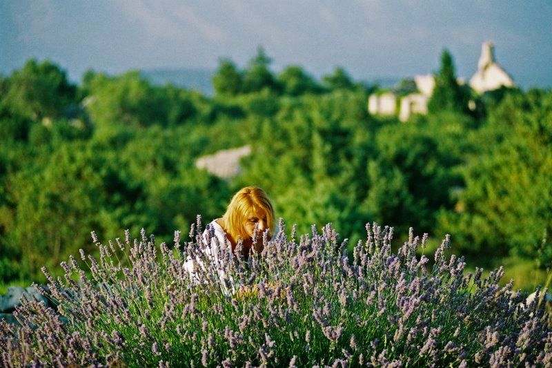 3-Hour Lavender Tour from Hvar - What the guide adds to the experience