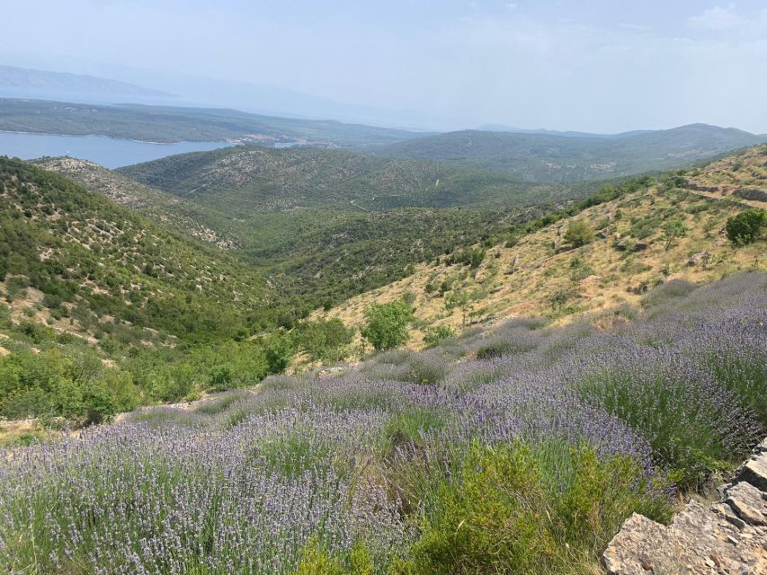 3-Hour Lavender Tour from Hvar - From Hvar Town to Napoleon’s viewpoint