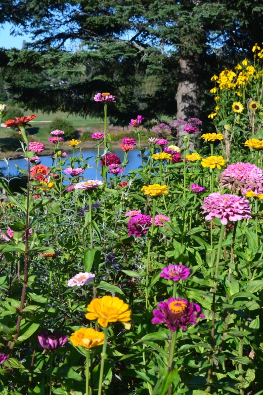 4 Hour Private Tour: Acadia, Fjord, Gardens & Mansions - Sand Beach, Thunder Hole, and the granite coast