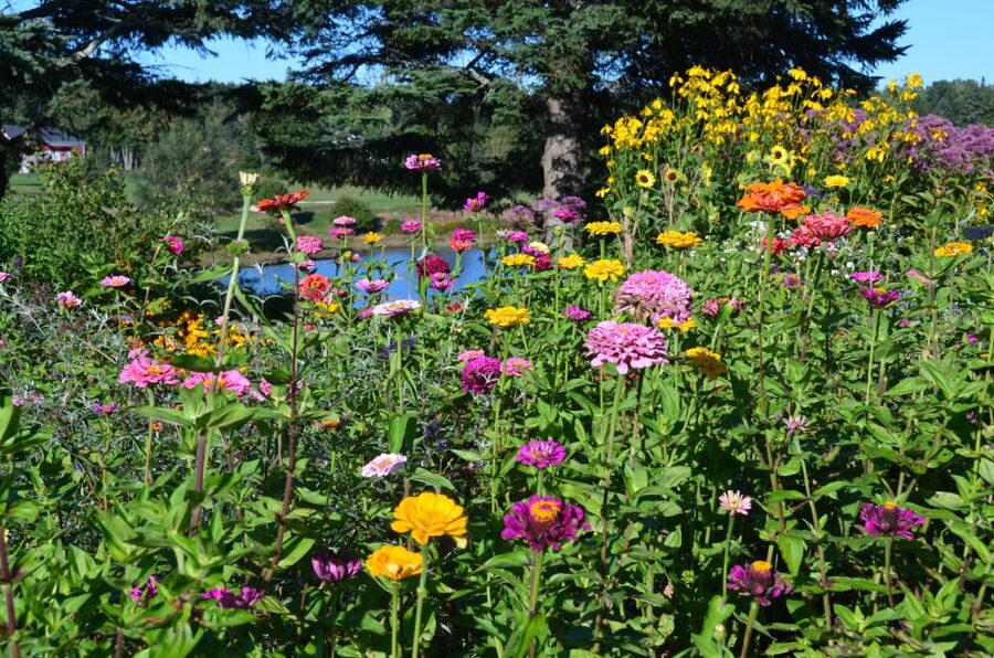 4 Hour Private Tour: Acadia, Fjord, Gardens & Mansions - Asticou, Seal Harbor, and Northeast Harbor