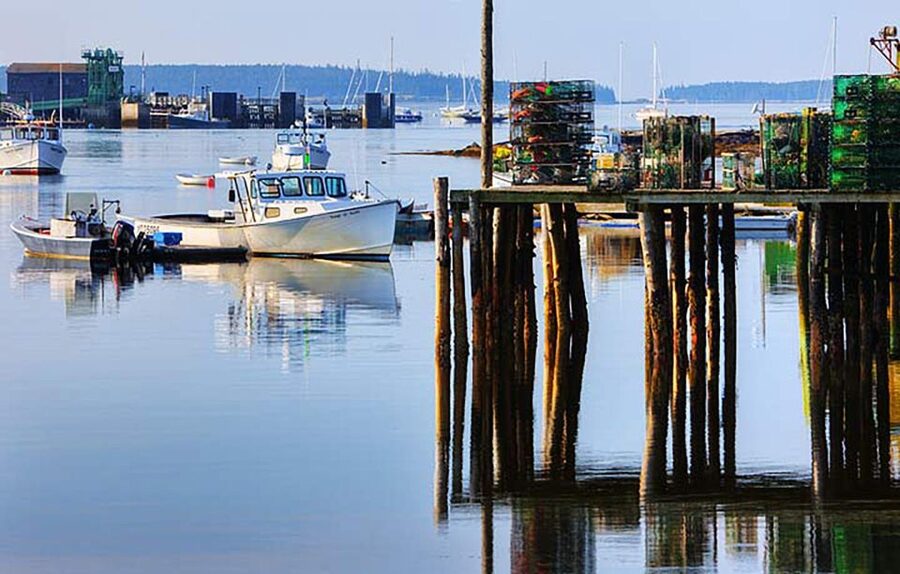 4 Hour Private Tour: Acadia, Fjord, Gardens & Mansions - Cadillac Mountain and the first big view
