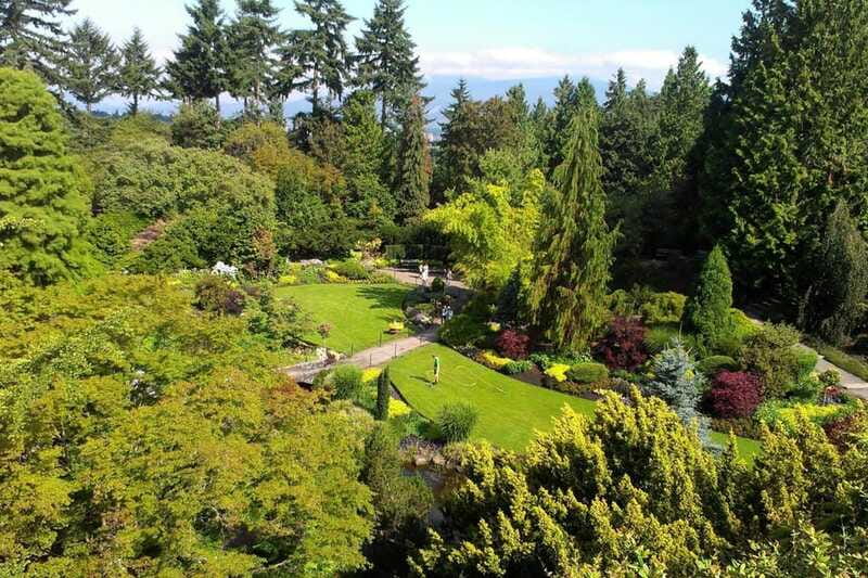 4-Hour Private Tour of Vancouver's Gardens - Guide quality and the value of personal attention