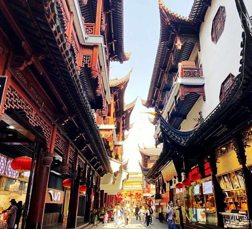 4-Hour Shanghai Best Garden and Temple Tour with Tea Tasting - What the Guide Adds to the Experience