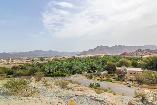 4x4 Hatta Safari to Fossil Rock & Honey Bee Garden visit with Breakfast - Camel Rock and the desert drive back