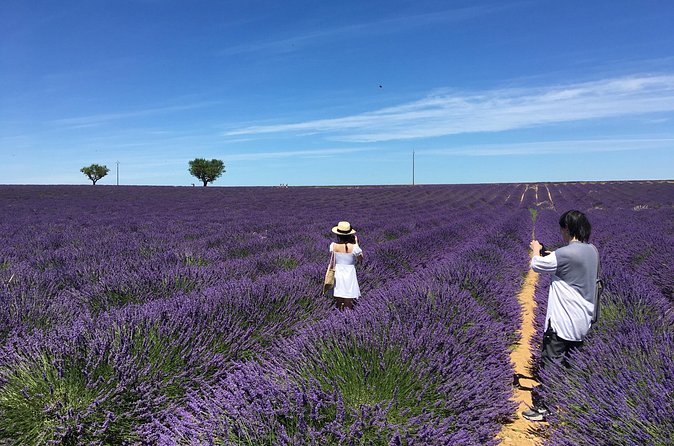 5-Hours Lavender Fields Tour in Valensole from Aix-en-Provence - The guides and the human side of the outing