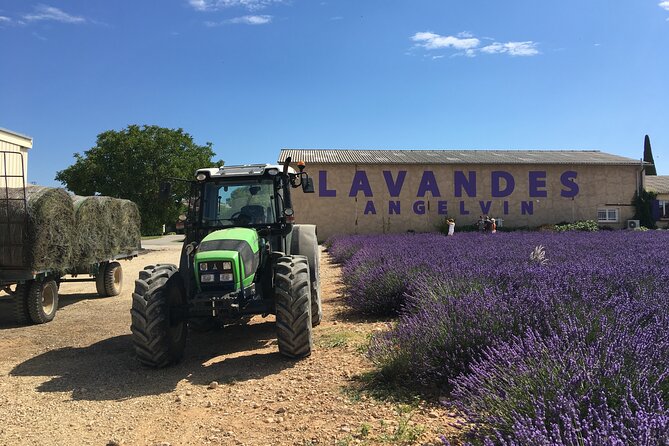 5-Hours Lavender Fields Tour in Valensole from Aix-en-Provence - Who will enjoy this tour most