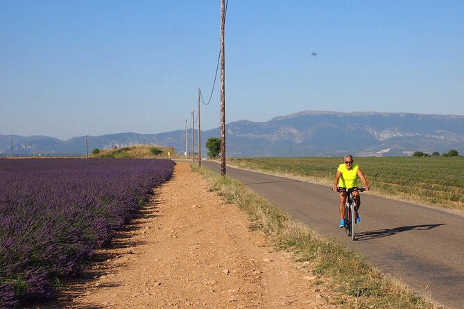 5-Hours Lavender Fields Tour in Valensole from Aix-en-Provence - A 9 a.m. start and a relaxed drive from Aix
