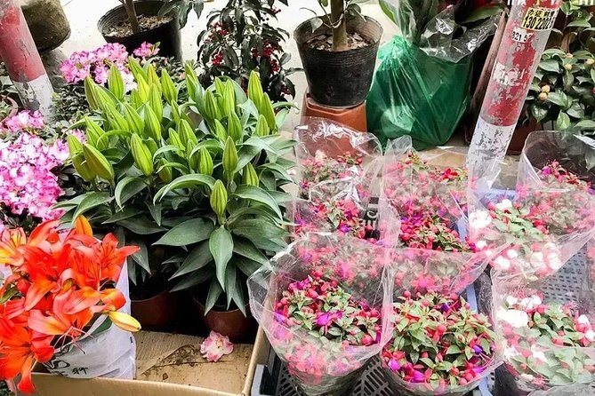 6-Hour Private Beijing Tour: Flower and Fish Market, Panjiayuan Antique Market and 798 Art Zone - Is $158 a fair price?
