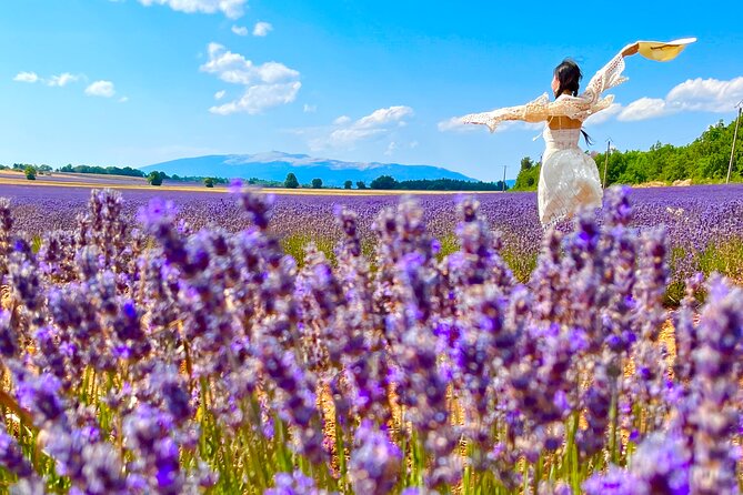 A day in the Lavenders and Villages of Provence - Key points to know before booking