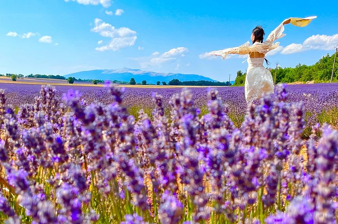 A day in the Lavenders and Villages of Provence - The open fields of Plateau des Claparèdes