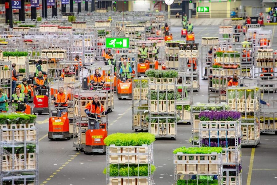 Aalsmeer: Flower Auction Royal Flora Holland Entry Ticket - Key points to know before you go