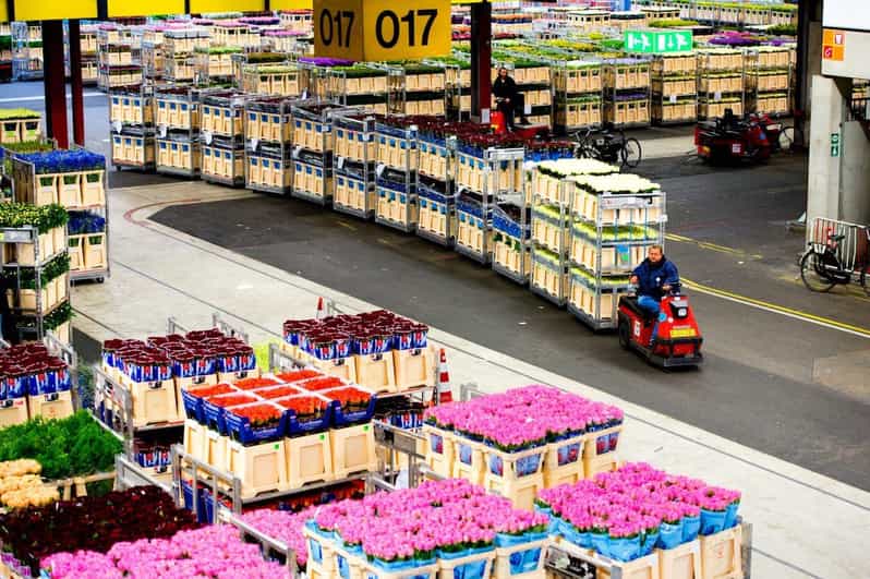 Aalsmeer: Flower Auction Royal Flora Holland Entry Ticket - Why the early morning matters