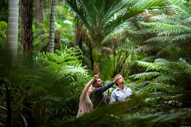 Aboriginal Heritage Walk - Royal Botanic Gardens Victoria, Melbourne Gardens - Key points to know before booking