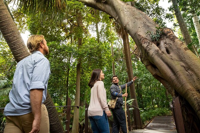 Aboriginal Heritage Walk - Royal Botanic Gardens Victoria, Melbourne Gardens - Walking into Melbourne Gardens at 11:00 am