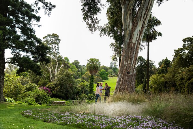 Aboriginal Heritage Walk - Royal Botanic Gardens Victoria, Melbourne Gardens - Lemon myrtle tea and the sensory finish
