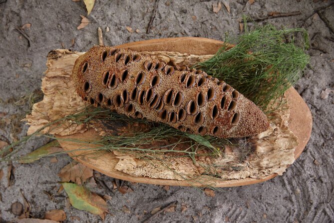 Aboriginal Heritage Walk - Royal Botanic Gardens Victoria, Melbourne Gardens - Who will get the most from this walk