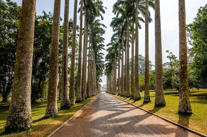 Aburi Botanic Gardens and Boti Falls Full-Day Private Tour - Key points to know before booking