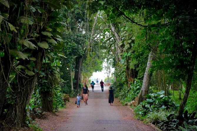 Aburi Botanic Gardens and Boti Falls Full-Day Private Tour - Aburi Botanical Gardens and its 1890 beginnings