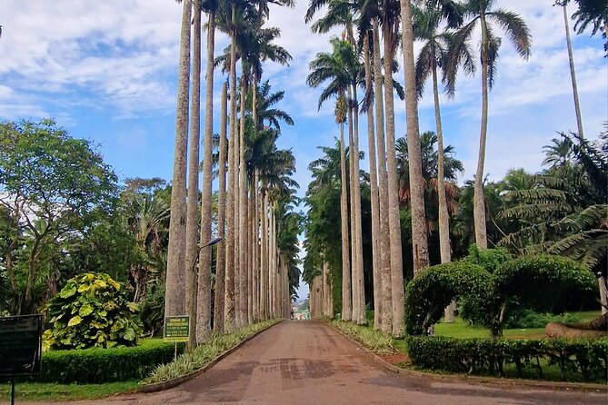 Aburi Botanic Gardens, Boti Falls,Umbrella Rock & Cocoa Farm Tour - Key points to know before you book