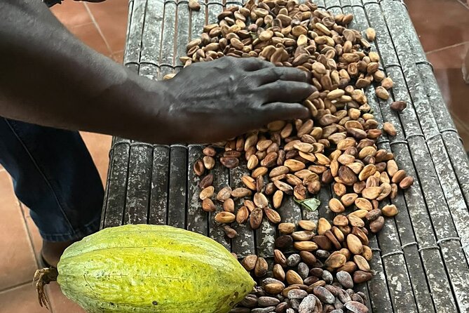 Aburi Botanic Gardens, Boti Falls,Umbrella Rock & Cocoa Farm Tour - Boti Falls and the 250-step descent