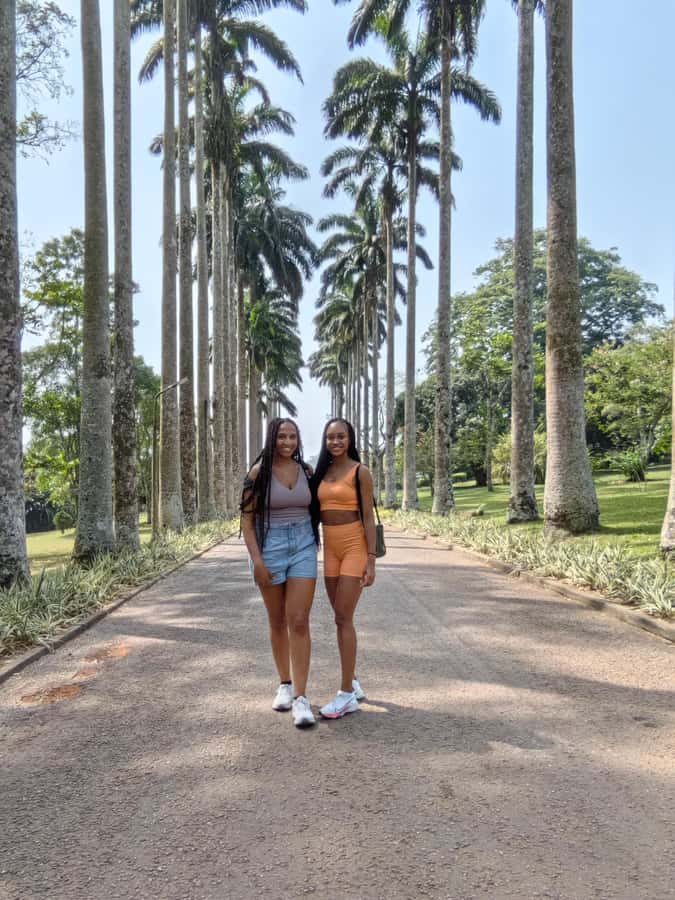 Accra: Aburi Botanical Garden, Cocoa Farm, and Waterfall … - Tetteh Quarshie Cocoa Farm and the start of Ghana’s cocoa story