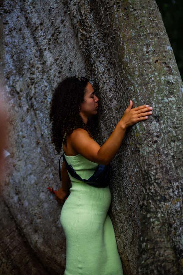 Accra: Aburi Botanical Garden, Cocoa Farm, and Waterfall … - Who should book this Accra day trip?