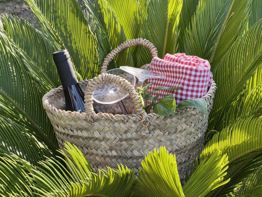 Agrigento: Valley of the Temples Gardens Picnic Experience - Who should book this garden picnic?