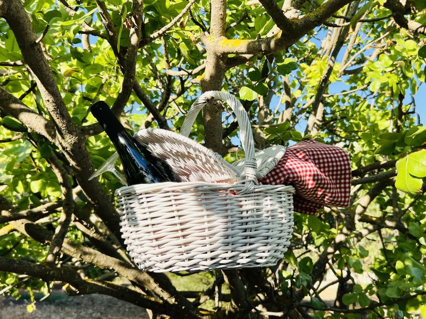 Agrigento: Valley of the Temples Gardens Picnic Experience - A short walk through gardens and ancient hypogea