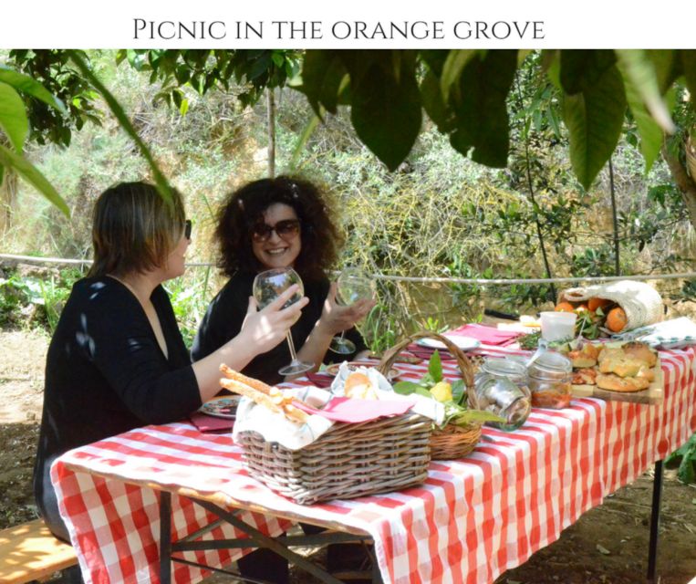 Agrigento: Valley of the Temples Gardens Picnic Experience - How much food should you expect?