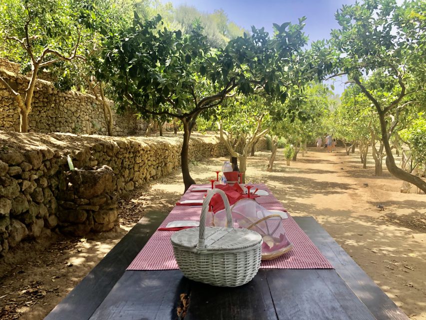 Agrigento: Valley of the Temples Gardens Picnic Experience - Is the price fair for the experience?
