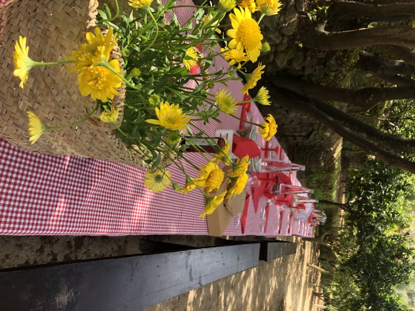 Agrigento: Valley of the Temples Gardens Picnic Experience - Access, stairs, and timing