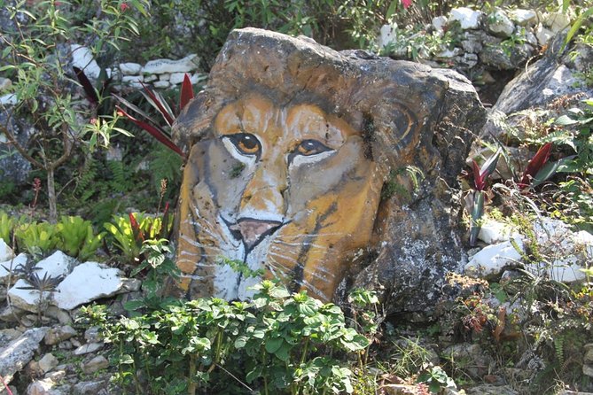Ahhh Ras Natango Gallery and Garden Private Transfer - A hillside garden with a personal story