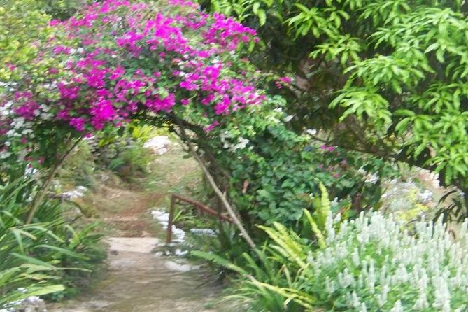 Ahhh Ras Natango Gallery and Garden Private Transfer - Why private transportation changes the day