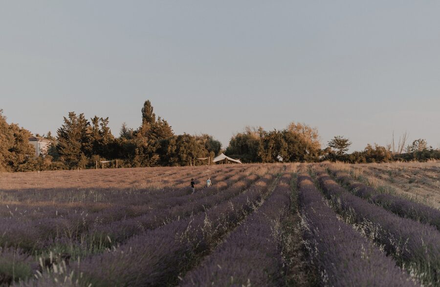 Aix-en-Provence: Lavender Fields Visit - Lavender Ice Cream, Lemonade, and Farm Products