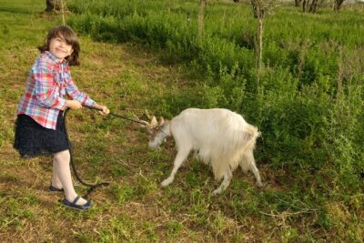 Alcamo Farm Animals and Aromatic Garden